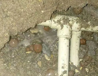 竞秀卫生间测漏