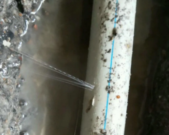 竞秀卫生间测漏水多少钱