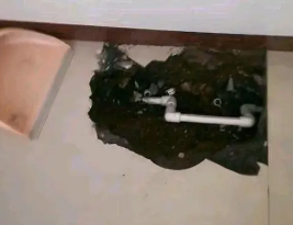 竞秀卫生间测漏水多少钱