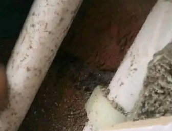 竞秀卫生间测漏水哪家好